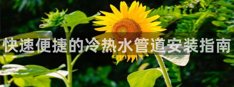 天辰娱乐下载链接