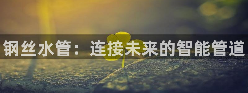 天辰娱乐 主管