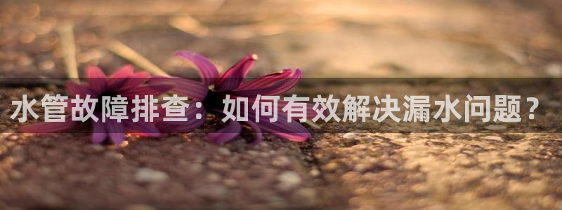 天辰娱乐游客