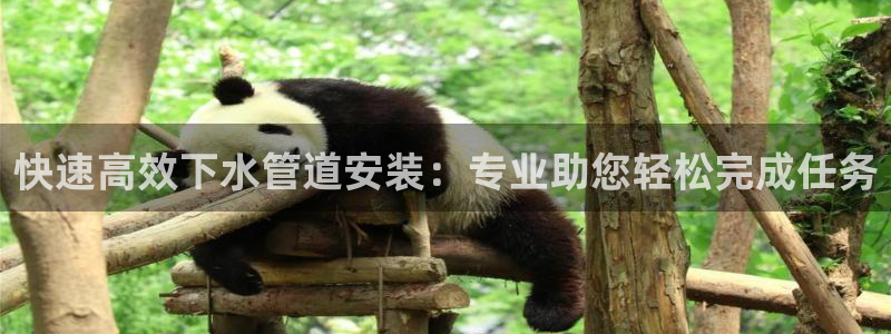 天辰娱乐怎么样
