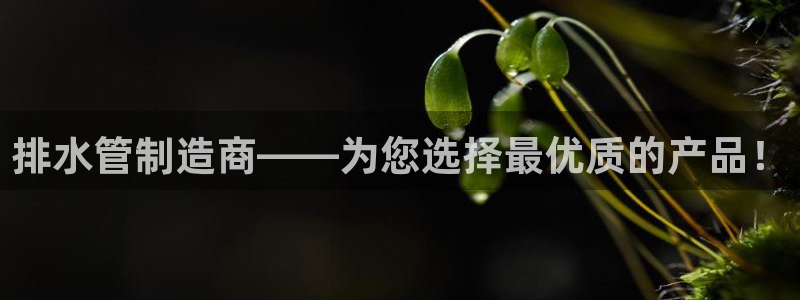 天辰娱乐平台地址在哪里