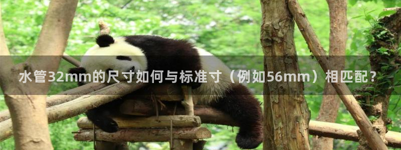 天辰娱乐 44516