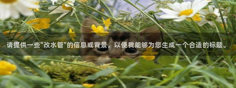 天辰娱乐557696
