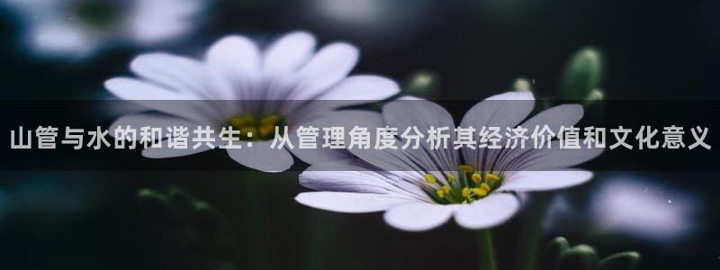 天辰娱乐 首选
