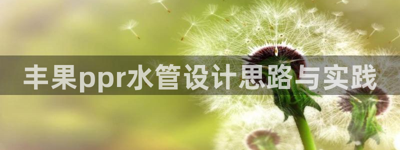天辰娱乐 18113
