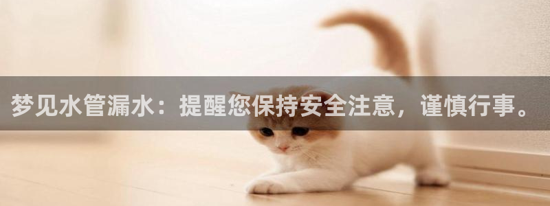 辰天娱乐用品