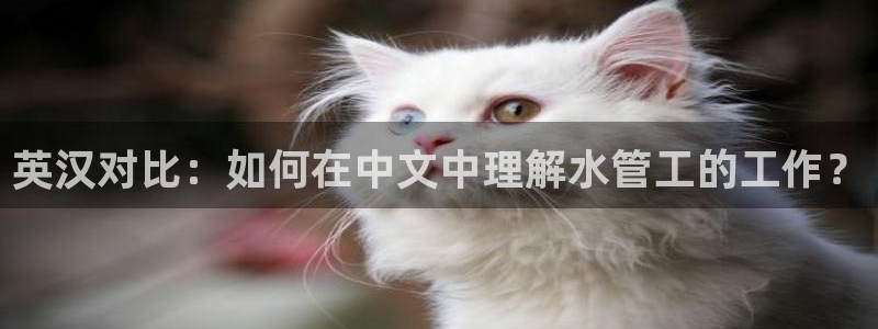 天辰娱乐怎么样