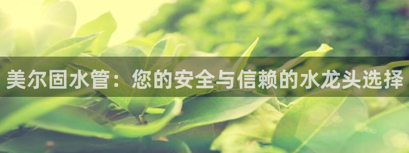 天辰辰娱乐代理