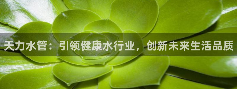 天辰娱乐十分彩