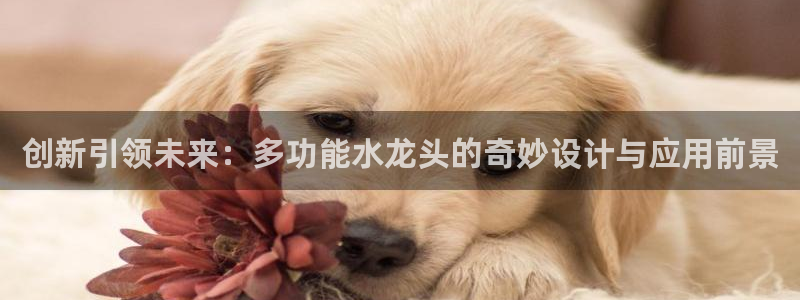 天辰娱乐best