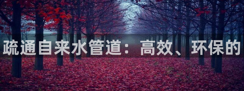 天辰娱乐会所