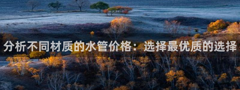 天辰娱乐输了