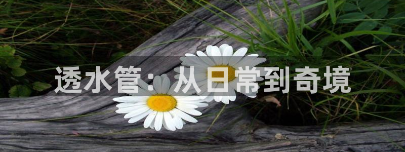 大同天辰娱乐