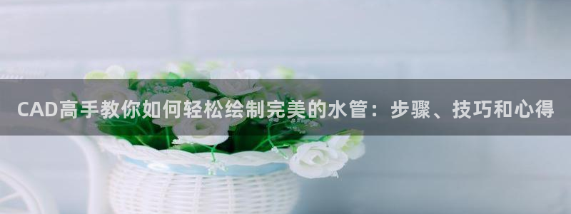 天辰娱乐路线