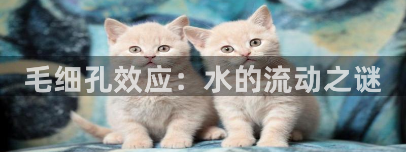 天辰娱乐官方