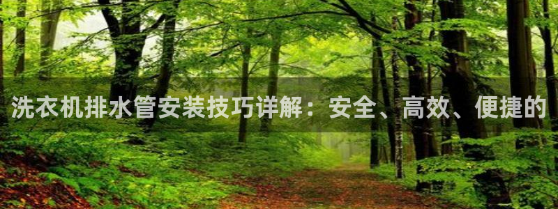 天辰娱乐老板
