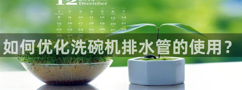天辰娱乐输了