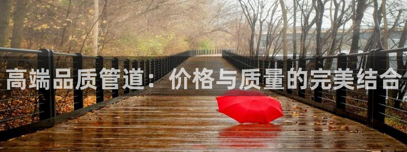 天辰娱乐网