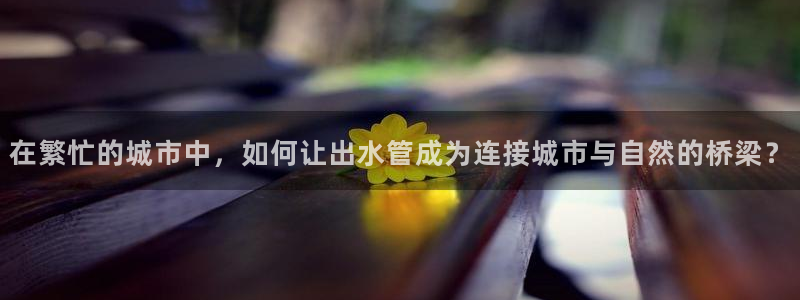 天辰娱乐论坛