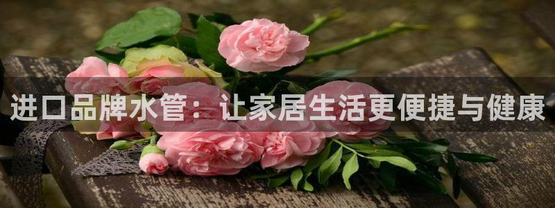 天辰娱乐51137
