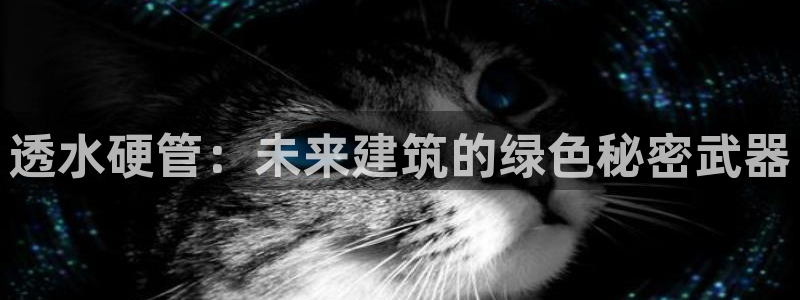 天辰娱乐公司