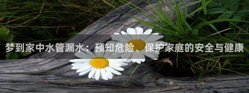 天辰 娱乐
