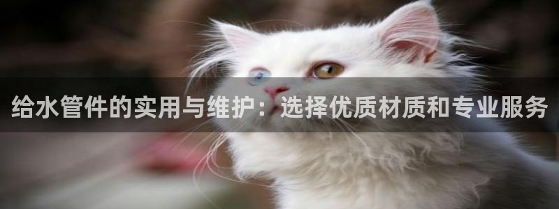 天辰娱乐元宝