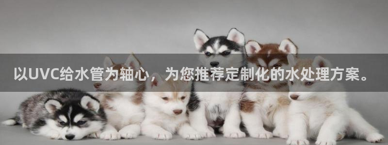 天辰娱乐登录测试