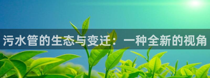 天辰娱乐登录网址