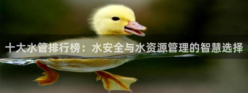 天辰娱乐平台登录账号