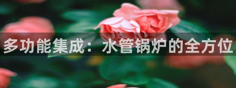 天辰娱乐登录测试