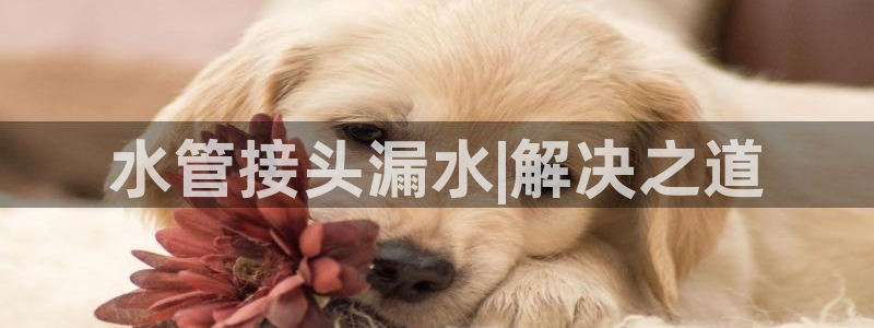 天辰娱乐平台安全吗