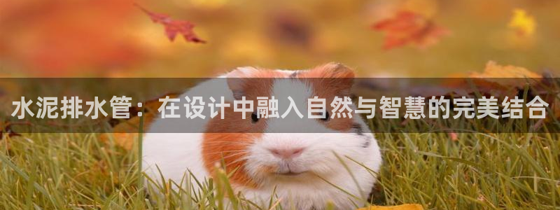 天辰娱乐平台入口